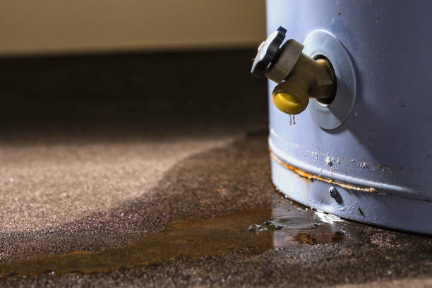 Water damage restoration insurance claims in Socorro, NM