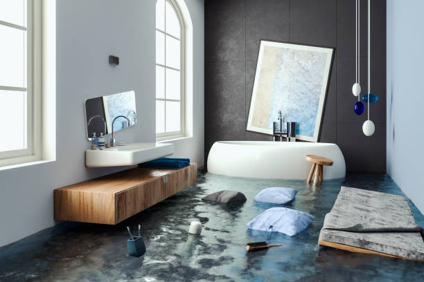 Best Carpet water damage restoration  in Socorro, NM