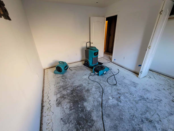 Best Water damage restoration insurance claims  in Socorro, NM