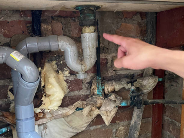 Best Flooded house restoration  in Socorro, NM