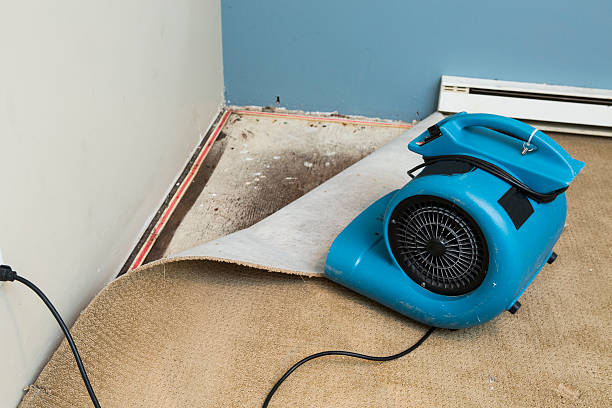 Best Flood restoration services  in Socorro, NM
